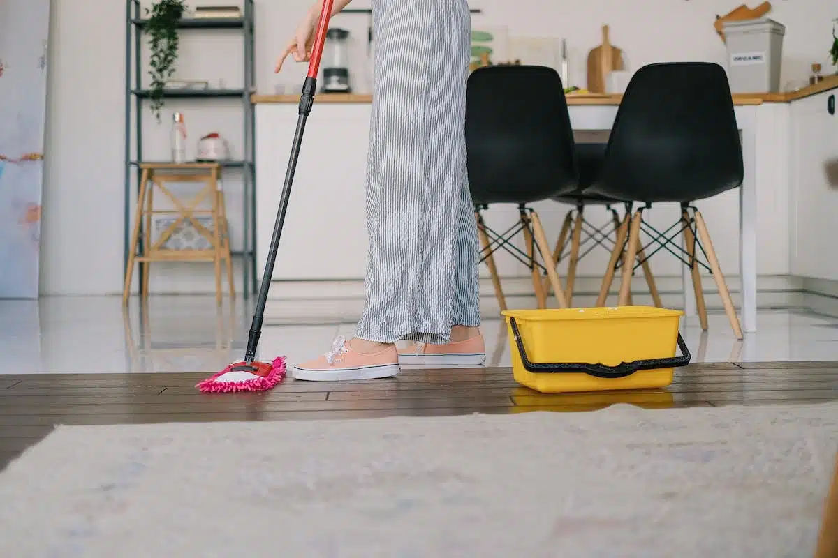 aspirateur  budget