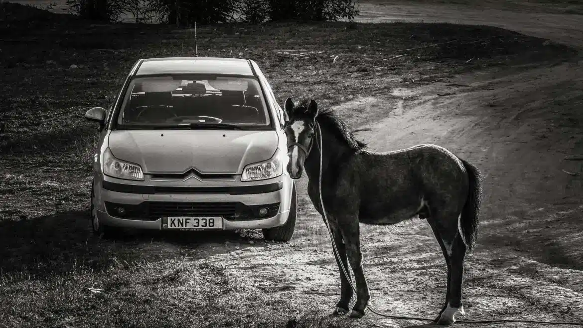 9 chevaux fiscaux