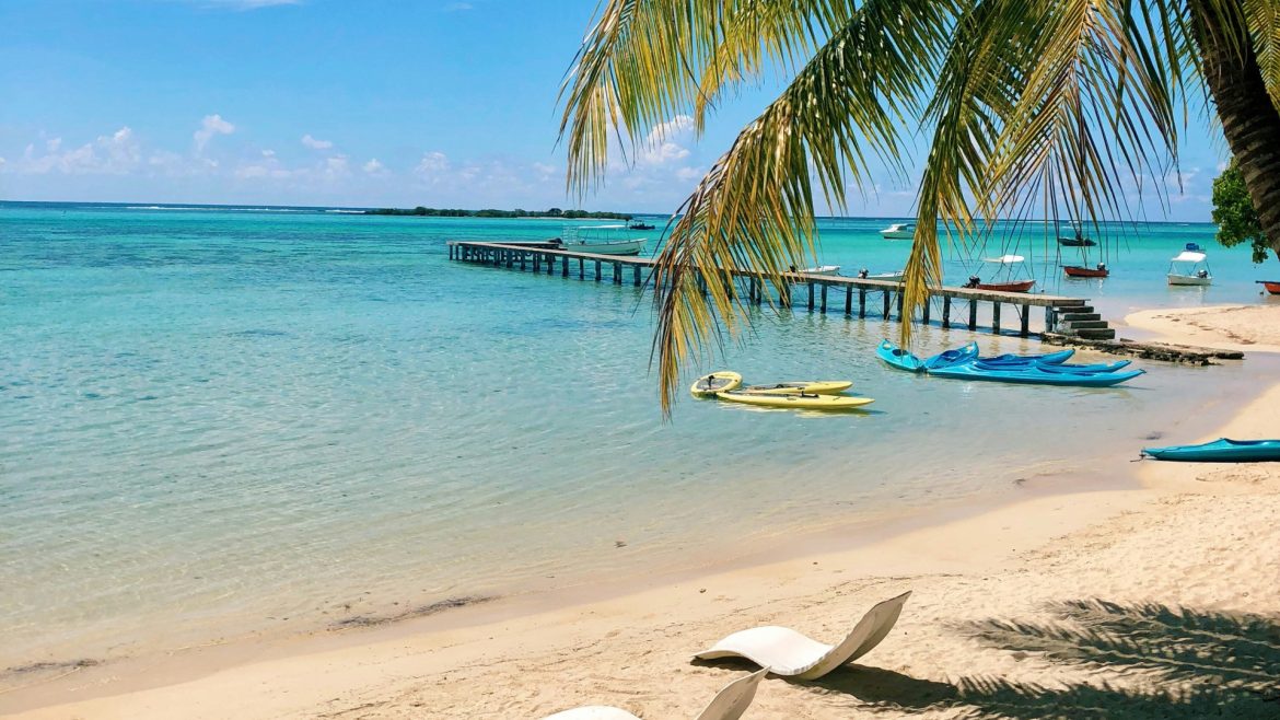 Comment planifier votre voyage à Tahiti pour une expérience inoubliable ?