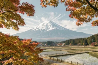 Le mont Fuji enneigé encadré par des érables rouges en automne dans un paysage rural japonais