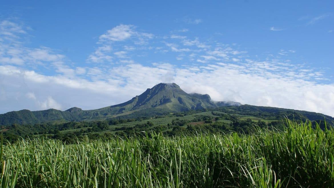 Pensez à la location de voiture pour visiter la Martinique !