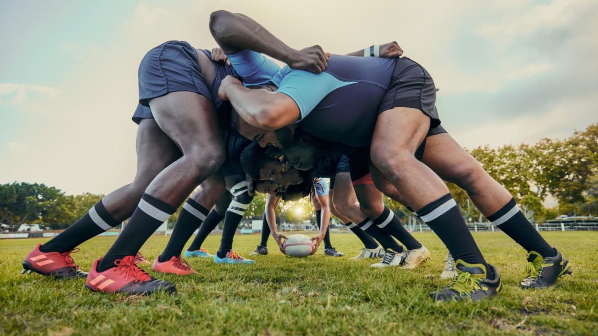 Suivre l'actualité du rugby grâce à un blog dédié